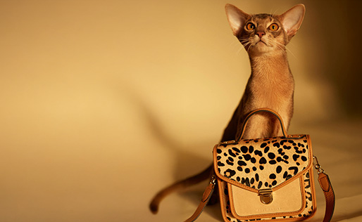 Sac à main en cuir imprimé léopard