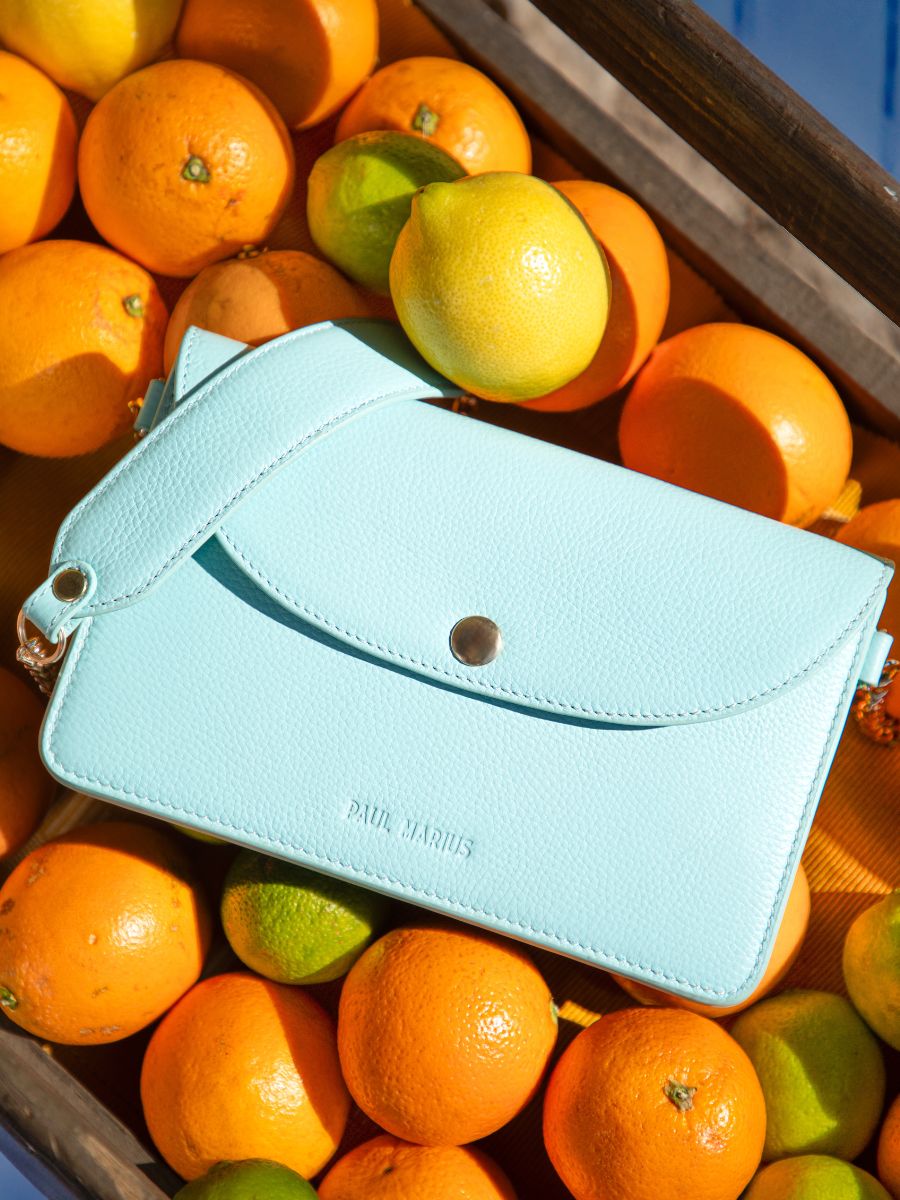 foto-vista-frontal-bolso-bolsa-de-mano-cuero-azul-bertille-azur-bleu-ciel-paul-marius-w44-az-l-blu