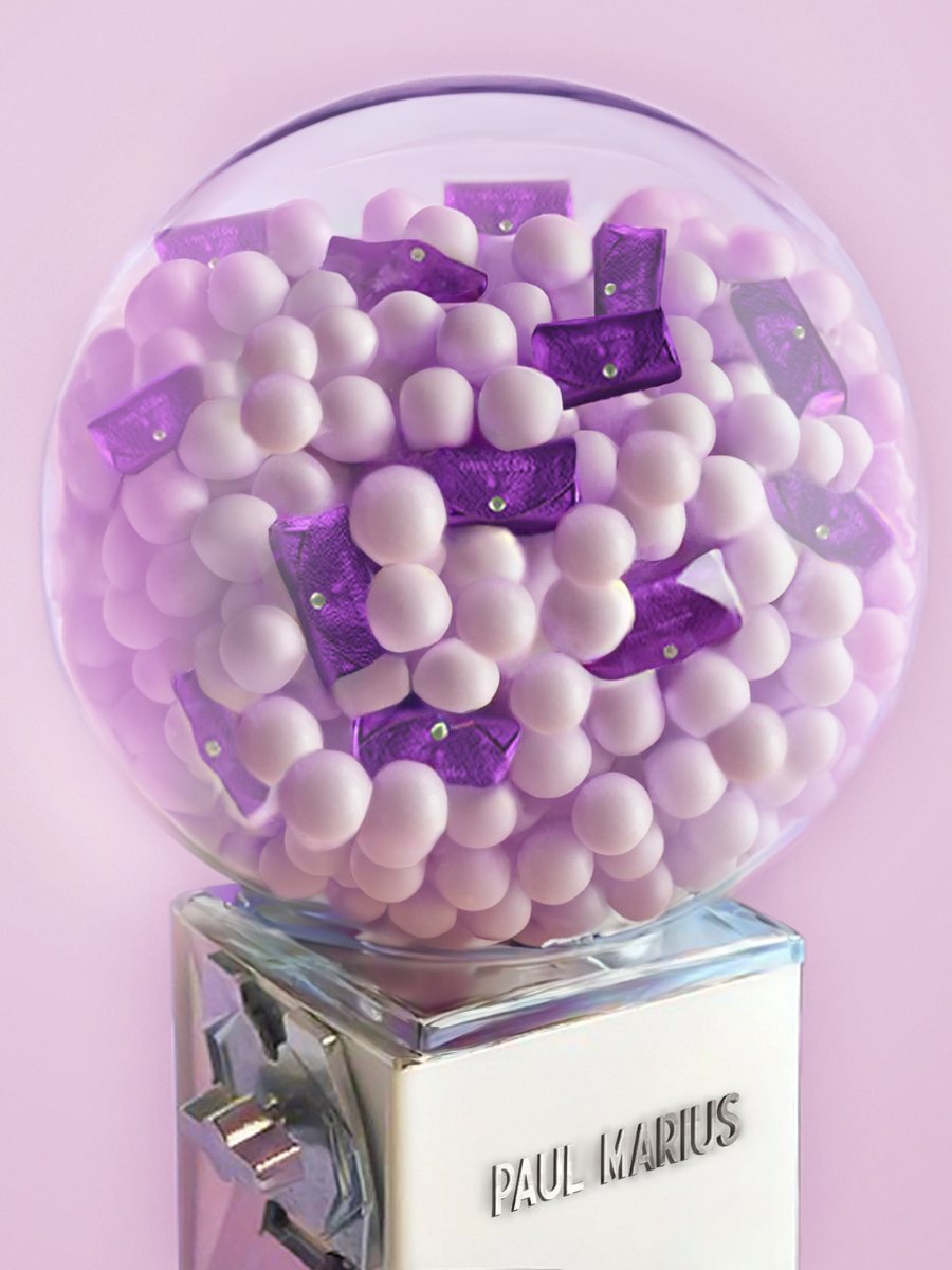 foto-vista-monedero-cuero-violeta-metalizado-legustave-bonbon-paul-marius-clp-m-p