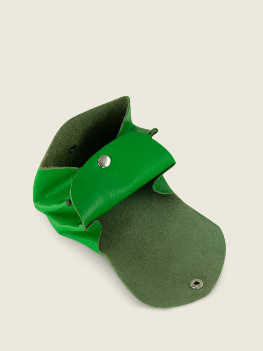 foto-vista-interior-monedero-cuero-verde-legustave-neon-paul-marius-clp-ne-gr
