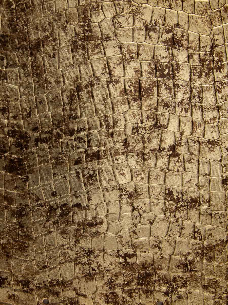 monedero-legustave-bijoux-dorado-vista-zoom-material-clp-cr-db-g