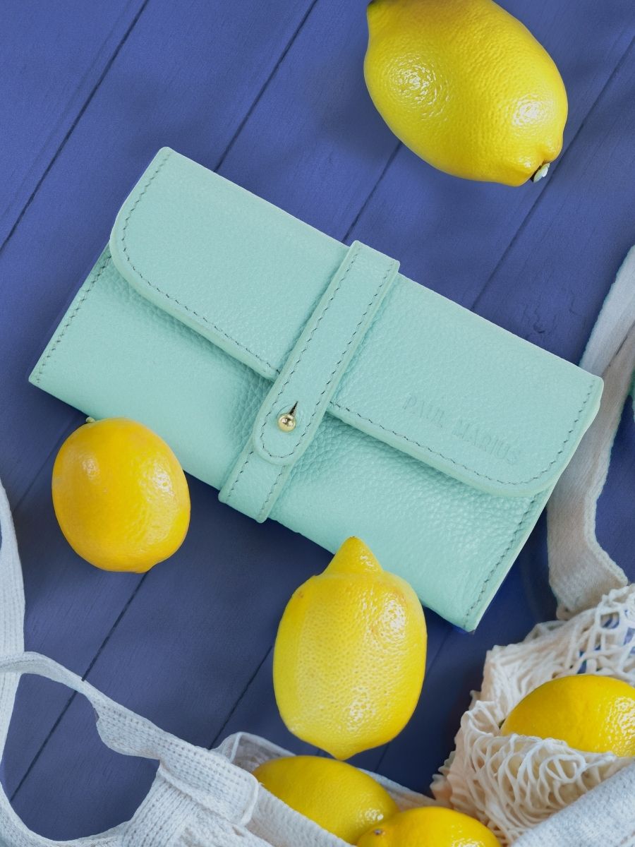 foto-vista-frontal-estuche-para-gafas-de-cuero-azul-oscar-azur-azul-cielo-paul-marius-m50-az-l-blu