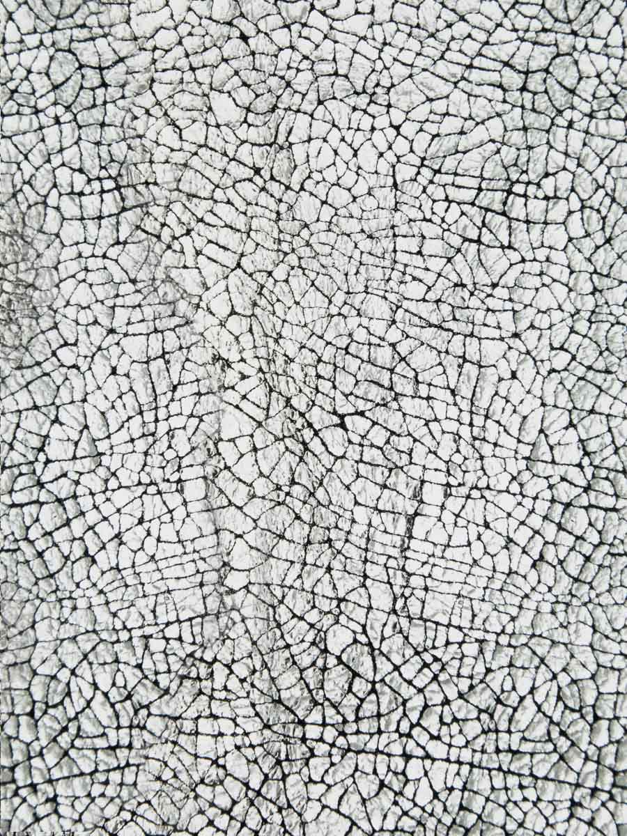 cartera-manon-espejo-plateado-vista-zoom-material-m32-mir