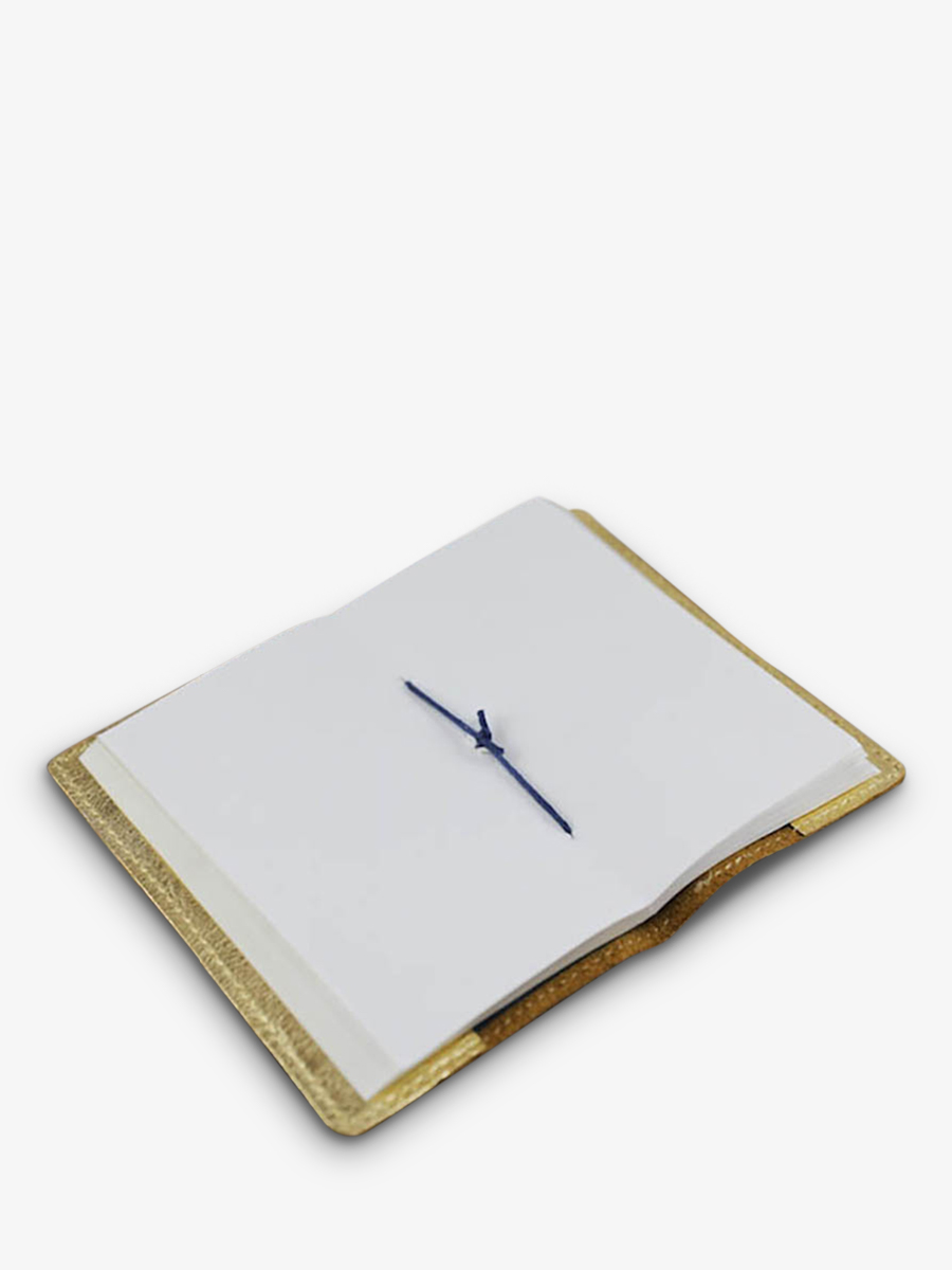 foto-interior-cuaderno-de-escritura-dorado-lecarnet-s-dorado-paul-marius-m61s-g