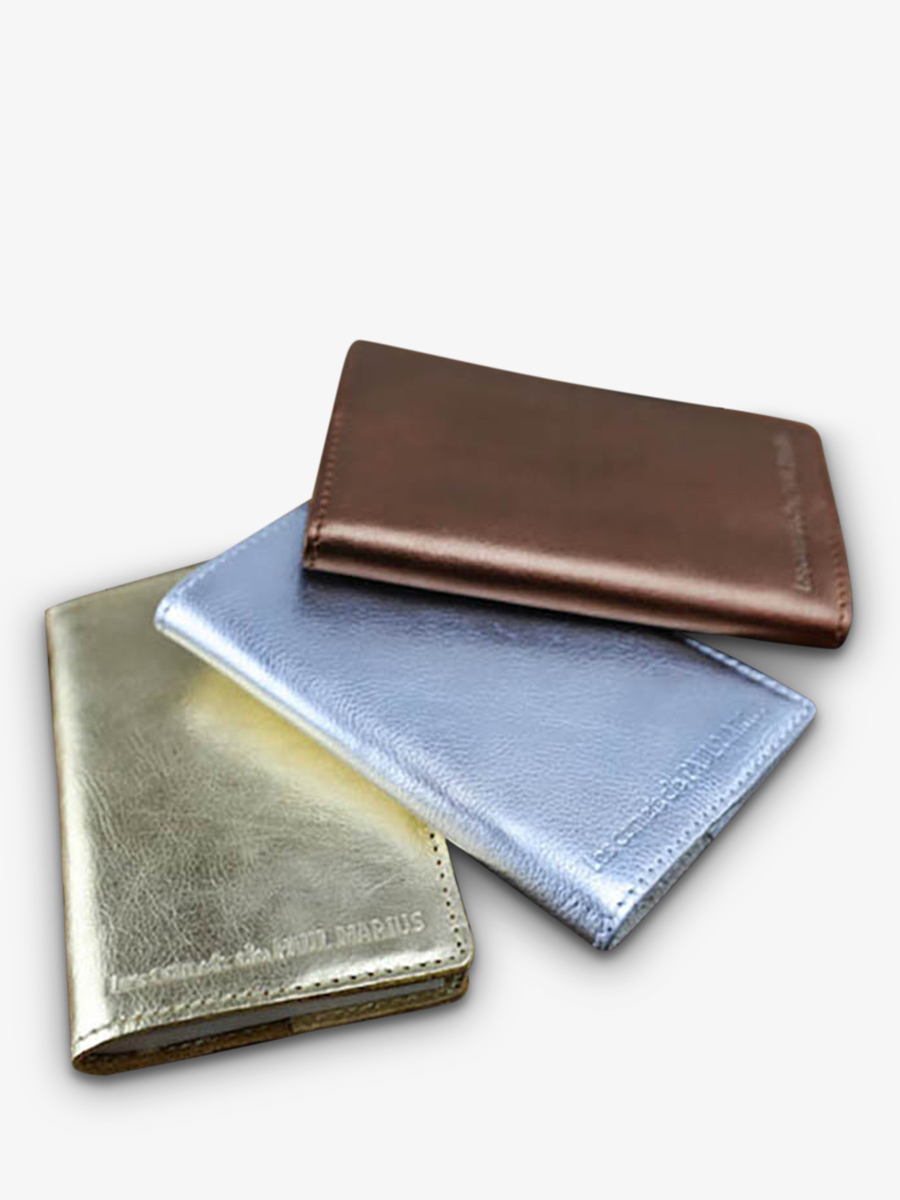 foto-vista-de-lado-cuaderno-de-escritura-plateado-lecarnet-s-argente-paul-marius-m61s-s