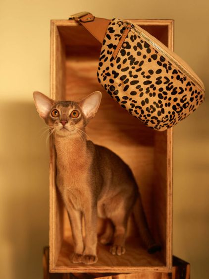 Riñonera Leopard - Beige