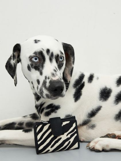 Valentine Tigre - Negro / Blanco