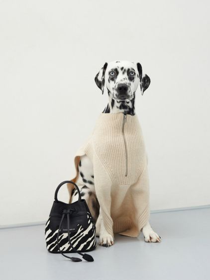 Capucine XS Tigre - Negro / Blanco