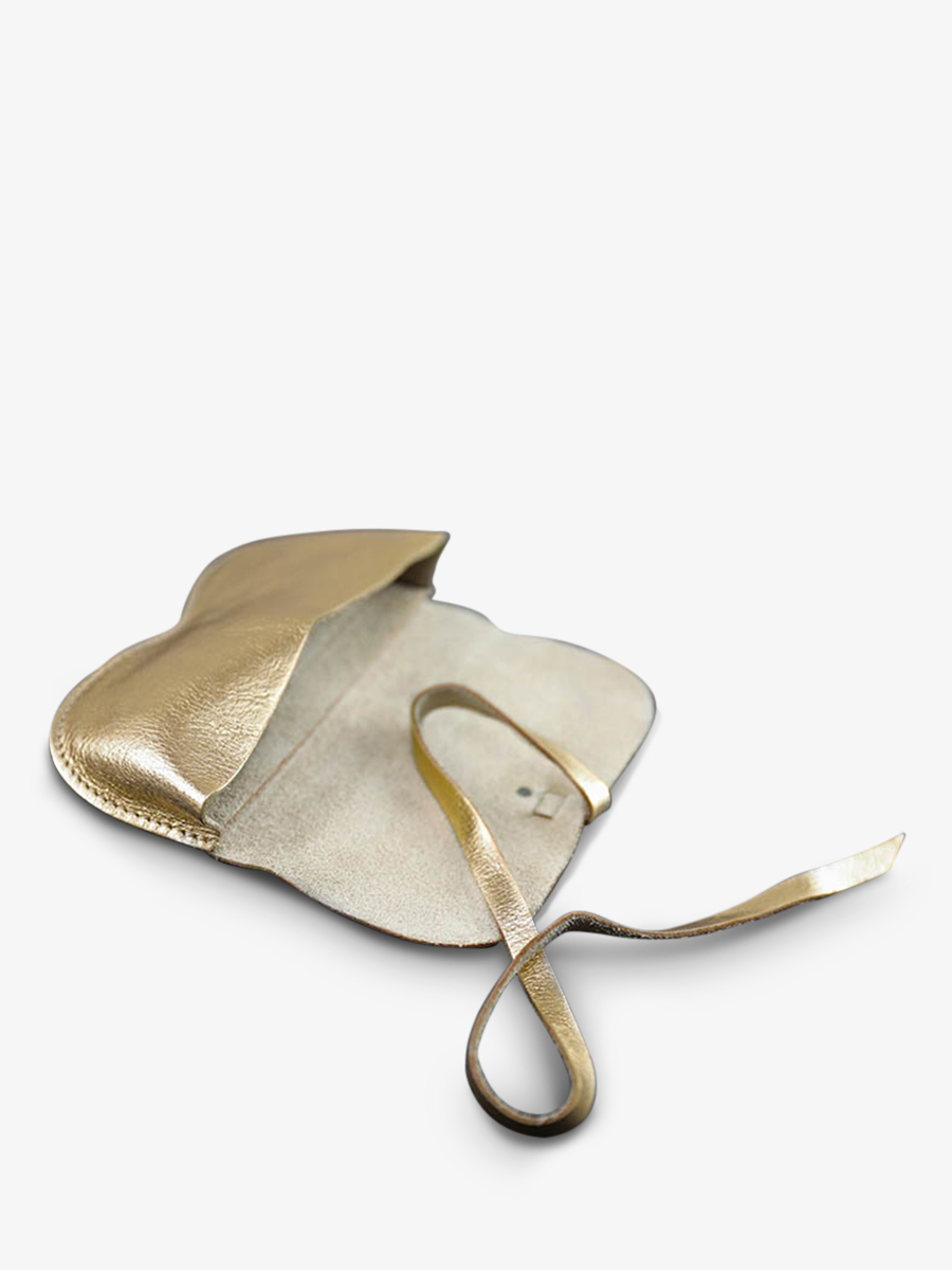 foto-vista-lateral-estuche-para-gafas-dorado-estuche-para-gafas-dorado-paul-marius-m49-g