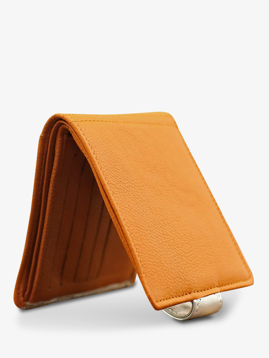 foto-vista-posterior-monedero-cuero-mujer-amarillo-plateado-leportefeuille-louise-safran-argente-paul-marius-m30-y-s