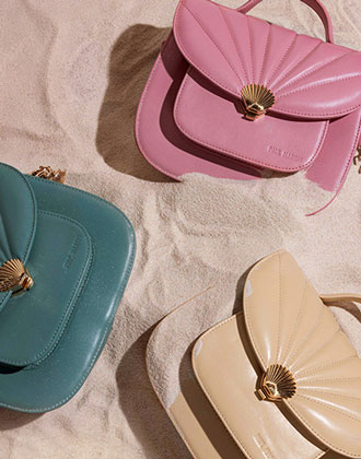 Collection Coquillage